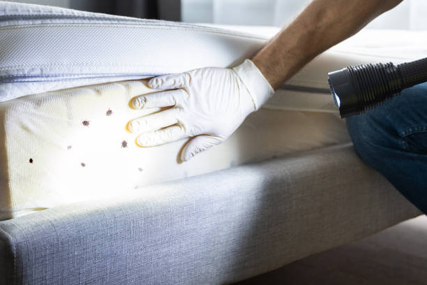 Best Best Pest Control Near Me  in Middleburg, PA