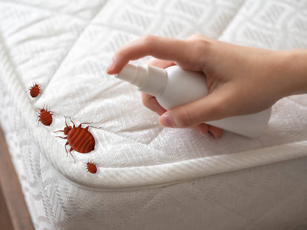 Best Commercial Pest Control Services  in Middleburg, PA