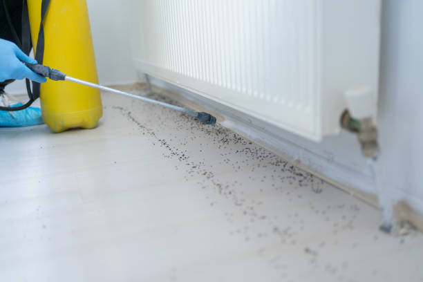Best Rat Extermination Near Me  in Middleburg, PA