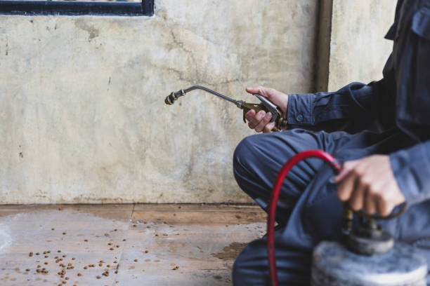Best Pest Control for Homes  in Middleburg, PA
